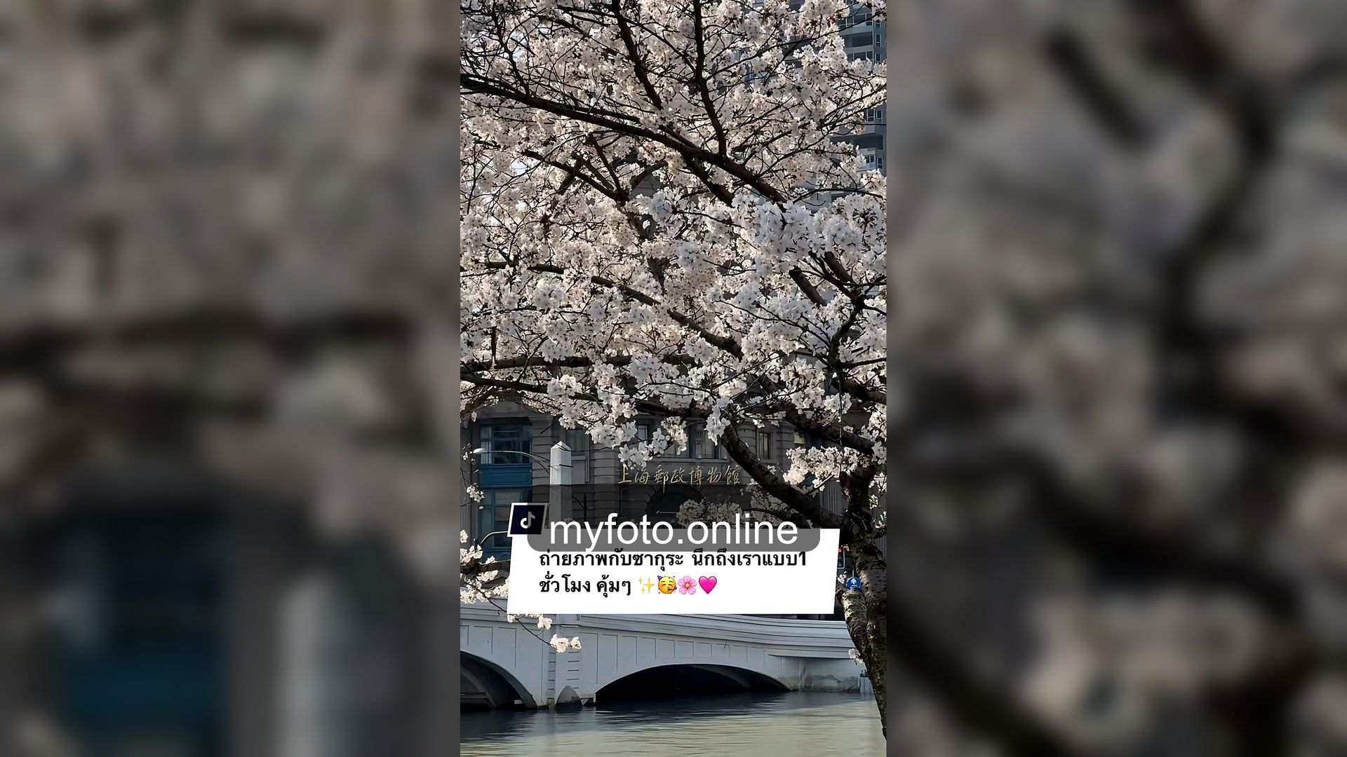 ถ่ายรูปดิสนีย์แลนด์เซี่ยงไฮ้ ดิสนีย์แลนด์เซี่ยงไฮ้ MY FOTO - รีวิวถ่ายรูปดิสนีย์แลนด์เซี่ยงไฮ้ จองช่างภาพคุ้มไหม จากรีวิวลูกค้าจริง 17