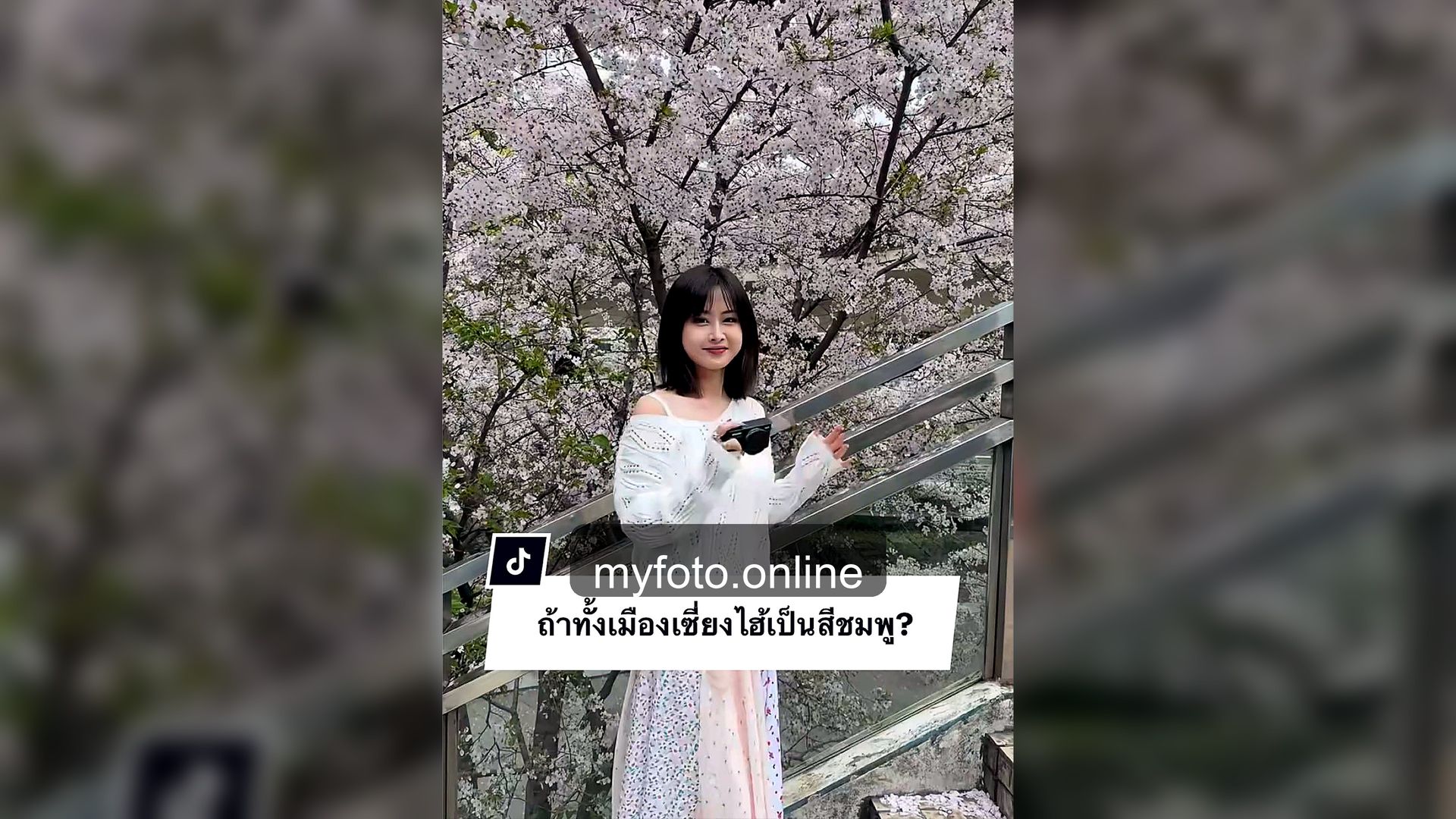 ช่างภาพเซี่ยงไฮ้ เซี่ยงไฮ้ MY FOTO - ถ่ายรูปเซี่ยงไฮ้ยังไงให้ได้รูปเที่ยวสวย: แง๊~ ใครก็ได้เอาแอดใส่กระเป็า