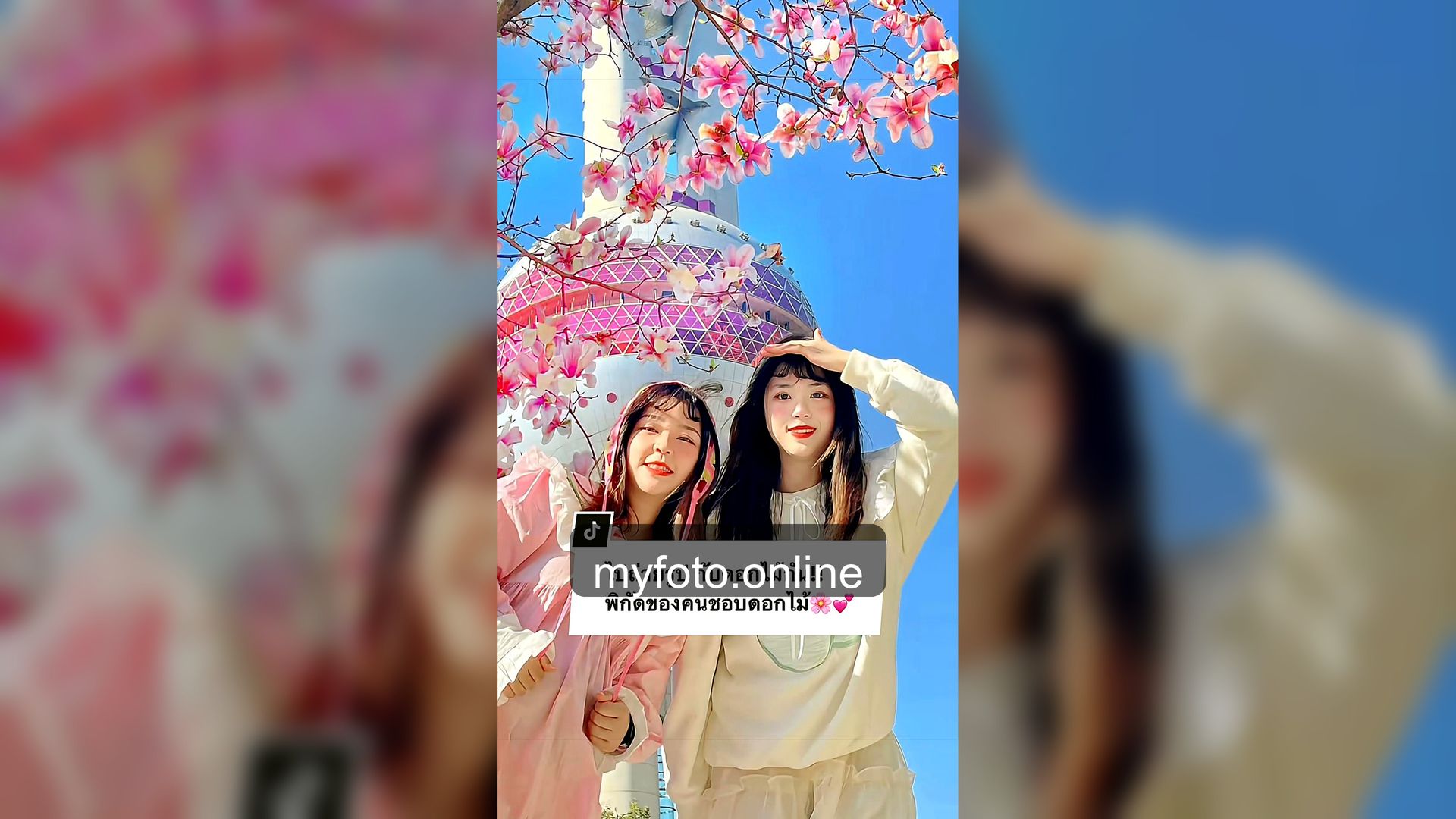 ช่างภาพเซี่ยงไฮ้ เซี่ยงไฮ้ MY FOTO - จ้างช่างภาพเซี่ยงไฮ้คุ้มไหม จากรีวิวลูกค้าจริง: ใครไป แถวๆ ดิสนี่ย์ สโตร์